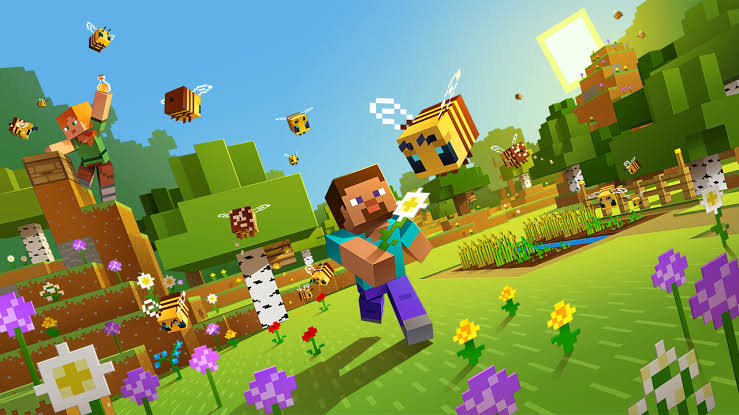 Minecraft game photo